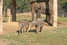 Royal Chitwan National Park